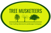 Tree Musketeers